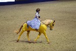 Quadrille - 00501